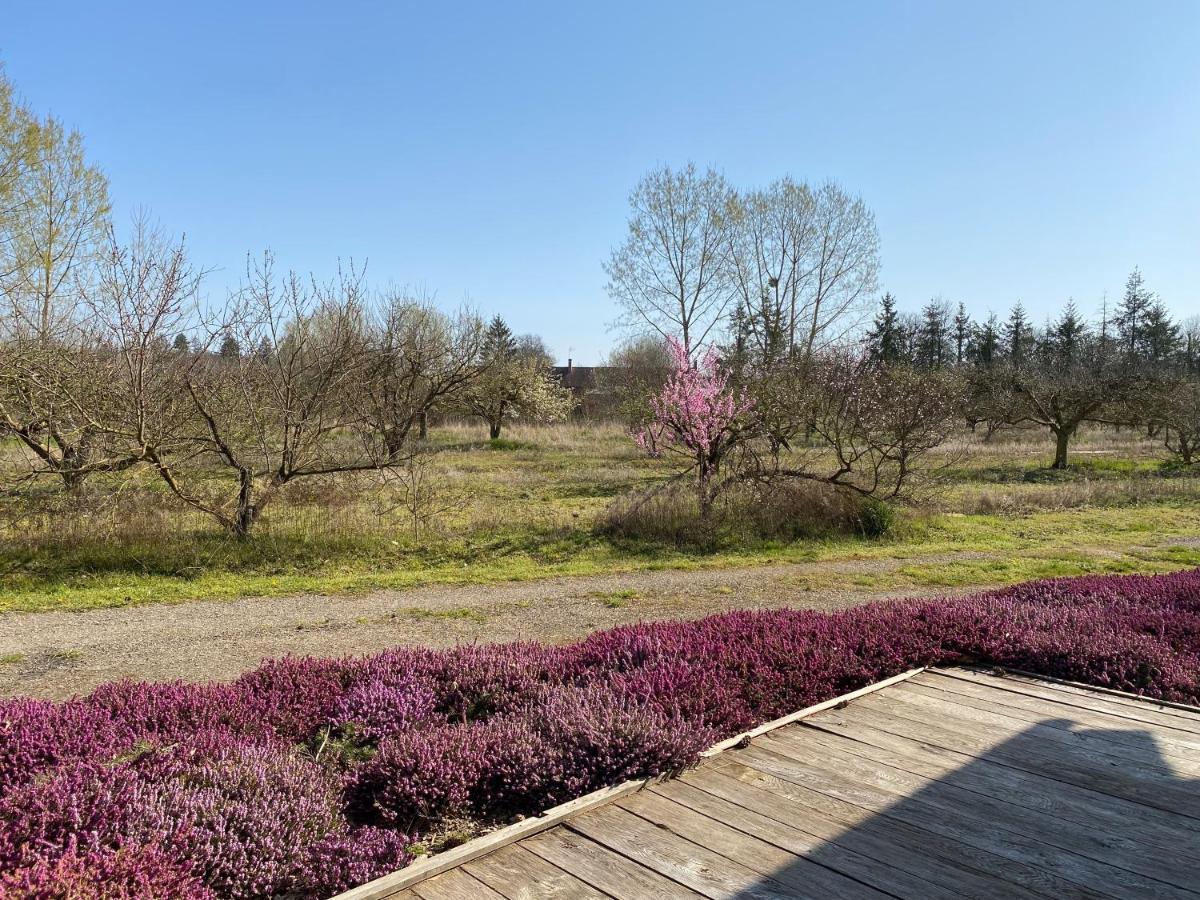 Le Gite De L'Etoile Du Jour Neung-sur-Beuvron Екстер'єр фото